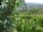 Webcam in Feuerbach, 8.5 mi away