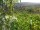 Webcam in Feuerbach, 16.3 mi away