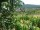 Webcam in Feuerbach, 8.5 mi away