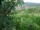 Webcam in Feuerbach, 7.5 mi away
