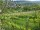 Webcam in Feuerbach, 4 mi away