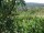 Webcam in Feuerbach, 4.4 mi away