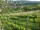 Webcam in Feuerbach, 12.4 km
