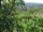 Webcam in Feuerbach, 11.4 km