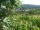 Webcam in Feuerbach, 7.5 mi away