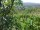 Webcam in Feuerbach, 3.7 mi away