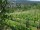 Webcam in Feuerbach, 15.7 km