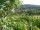 Webcam in Feuerbach, 4.4 mi away