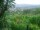 Webcam in Feuerbach, 4.2 km