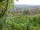 Webcam in Feuerbach, 14.5 km entfernt