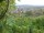 Webcam in Feuerbach, 7.2 mi away