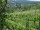 Webcam in Feuerbach, 4.5 mi away