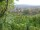 Webcam in Feuerbach, 5.9 km