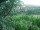 Webcam in Feuerbach, 4 mi away