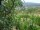 Webcam in Feuerbach, 5.6 mi away