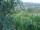 Webcam in Feuerbach, 15.3 mi away