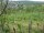 Webcam in Feuerbach, 4.8 mi away