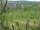 Webcam in Feuerbach, 5.6 mi away