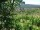 Webcam in Feuerbach, 22 km