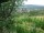 Webcam in Feuerbach, 14.4 km