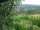 Webcam in Feuerbach, 22 km