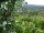 Webcam in Feuerbach, 4.8 mi away