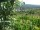 Webcam in Feuerbach, 12.6 km entfernt