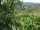 Webcam in Feuerbach, 7.1 mi away