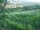 Webcam in Feuerbach, 11.4 km entfernt