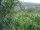 Webcam in Feuerbach, 4.4 mi away