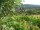 Webcam in Feuerbach, 22 km
