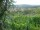 Webcam in Feuerbach, 17 km