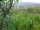 Webcam in Feuerbach, 7.1 mi away