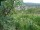 Webcam in Feuerbach, 2 mi away