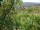 Webcam in Feuerbach, 22 km