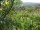 Webcam in Feuerbach, 26.6 km