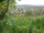 Webcam in Feuerbach, 4.4 mi away