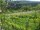 Webcam in Feuerbach, 22 km