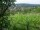 Webcam in Feuerbach, 14.7 km
