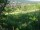 Webcam in Feuerbach, 4.4 mi away