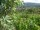 Webcam in Feuerbach, 22 km
