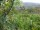 Webcam in Feuerbach, 15.3 mi away