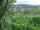 Webcam in Feuerbach, 5.6 mi away