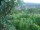 Webcam in Feuerbach, 1.9 mi away