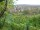 Webcam in Feuerbach, 10.3 km