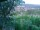 Webcam in Feuerbach, 3.7 mi away