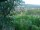 Webcam in Feuerbach, 8.9 km