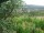 Webcam in Feuerbach, 7.5 mi away