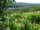 Webcam in Feuerbach, 22 km entfernt