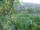 Webcam in Feuerbach, 4.4 mi away